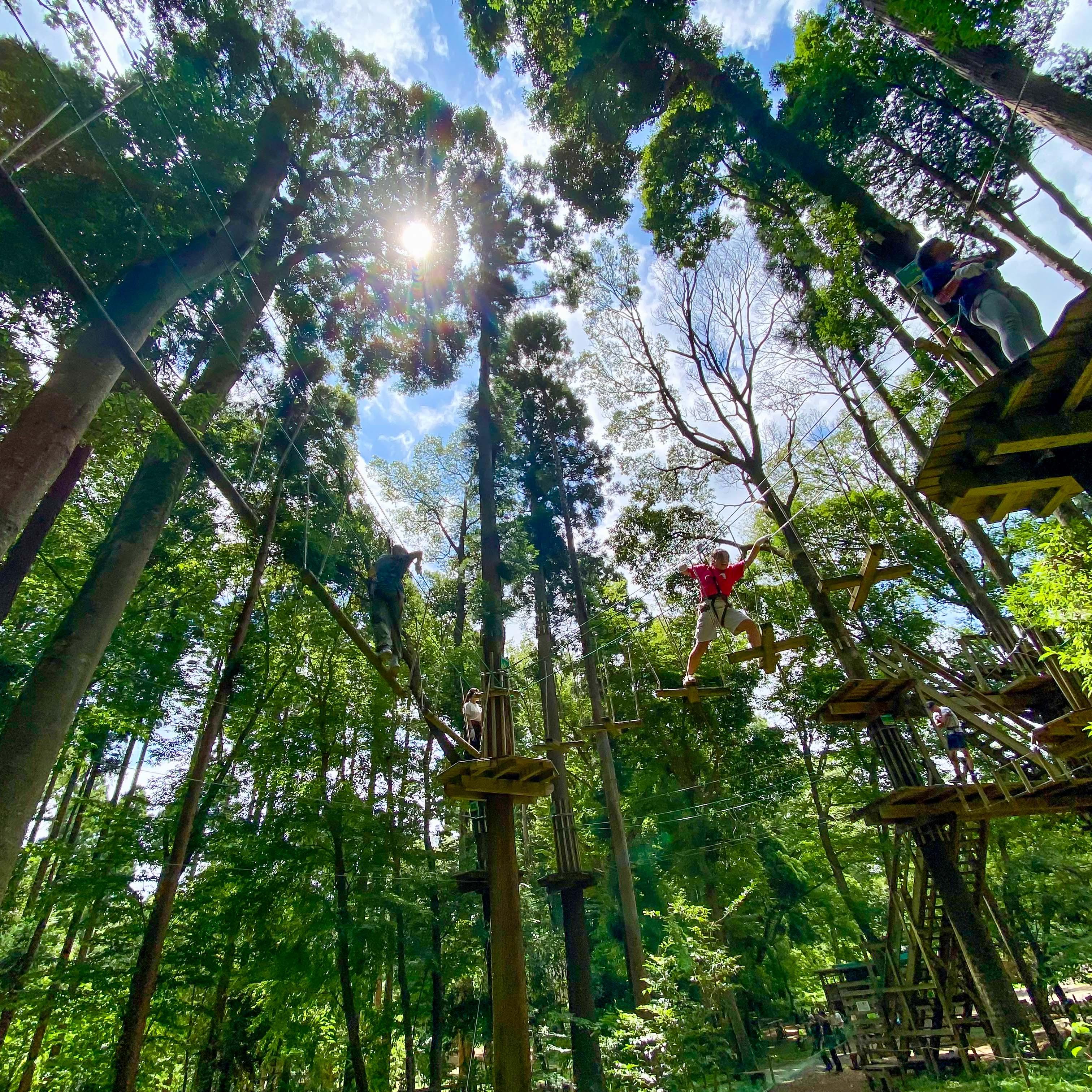 【高校生プラン】トレック60分